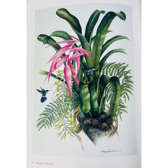 2008 Treasures of Botanical Art by Shirley Sherwood & Martyn Rix Artists Kew PB - Picture 2 of 13